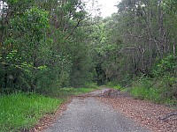 NSW - Kundabung (south of) - Old Pacific Highway south end - end of road (23 Feb 2010)